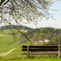 Omgeving